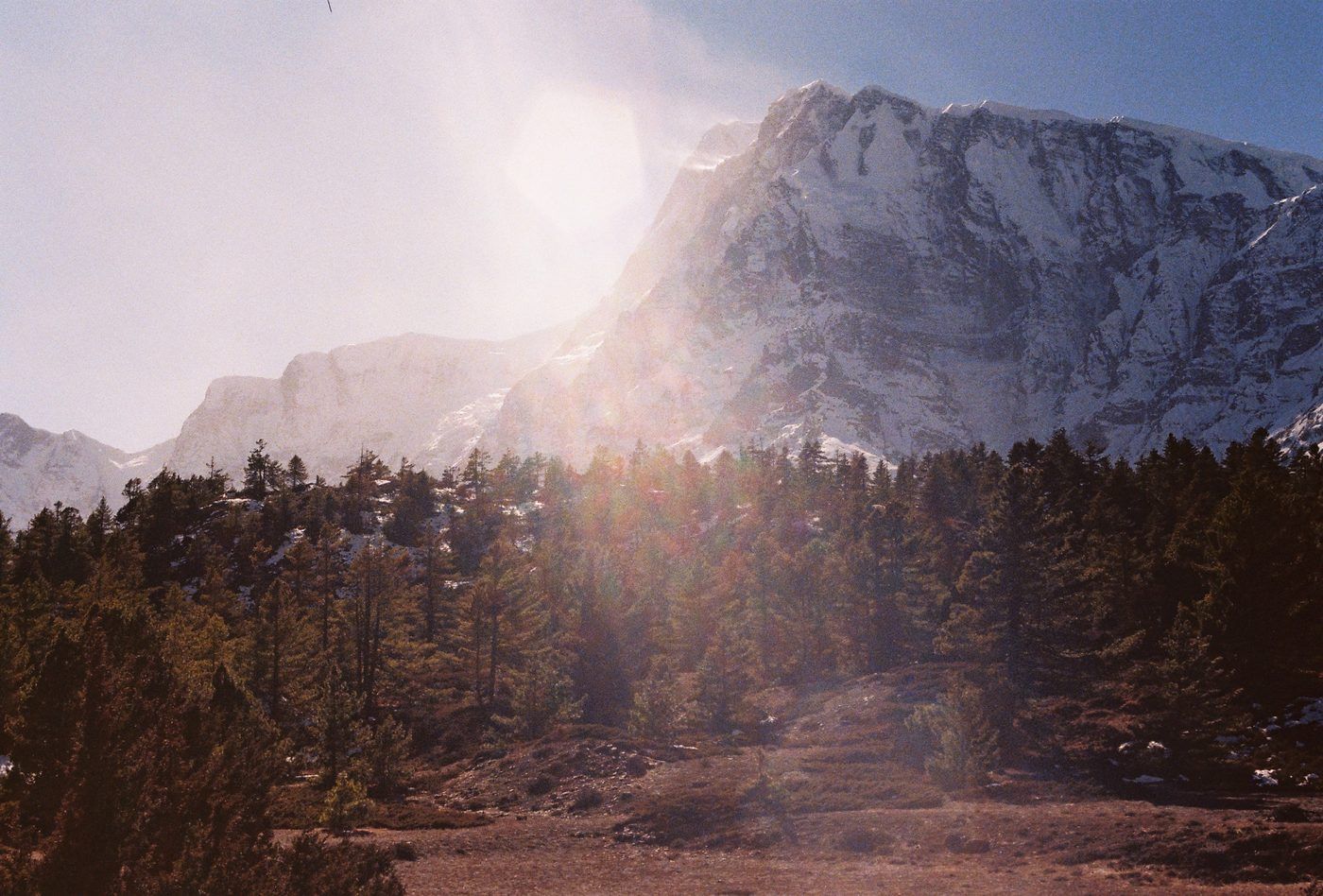 Snow peaks above a dark pine ridge in strong low sun, the light flaring across the frame.